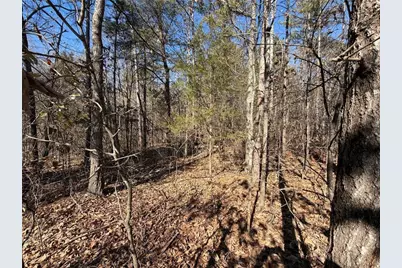 0 Lake Club Drive, Lavonia, GA 30553 - Photo 6