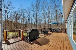 410 Gold Rush Trail, Ball Ground, GA 30107 - Photo 36