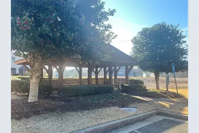 233 Legacy Downs Drive, Canton, GA 30118 - Photo 42