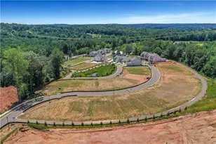 325 Conifer Ln, Ball Ground, GA 30107 - Photo 46