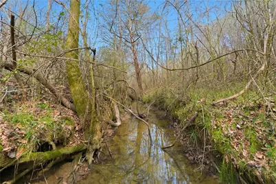 45 Roosevelt Street, Summerville, GA 30747 - Photo 28