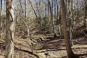 197 Holly Ln, Dahlonega, GA 30533 - Photo 32