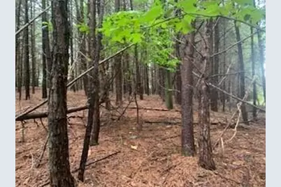 63-65 Deerwood Circle, Dahlonega, GA 30533 - Photo 6