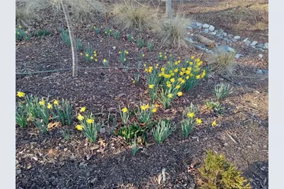 110 Planters Knoll, Baldwin, GA 30511 - Photo 94