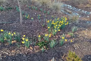 110 Planters Knl, Baldwin, GA 30511 - Photo 94