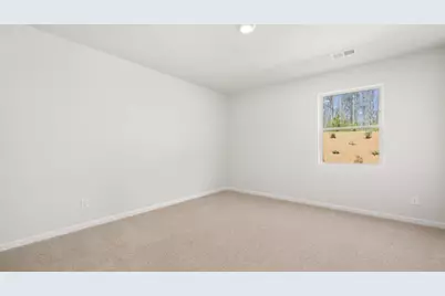 260 Thompson Ridge Lane, Dallas, GA 30132 - Photo 12