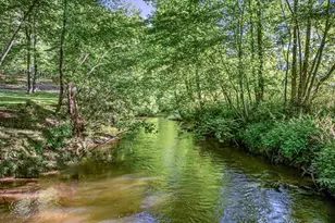 390 Sunny Brook Rd, Blue Ridge, GA 30513 - Photo 4