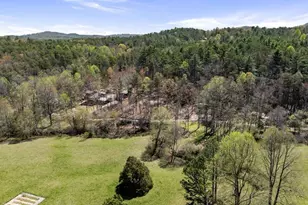 390 Sunny Brook Rd, Blue Ridge, GA 30513 - Photo 70