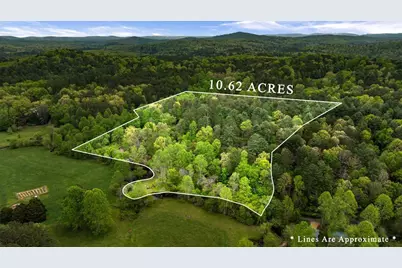 390 Sunnybrook Road, Blue Ridge, GA 30513 - Photo 44