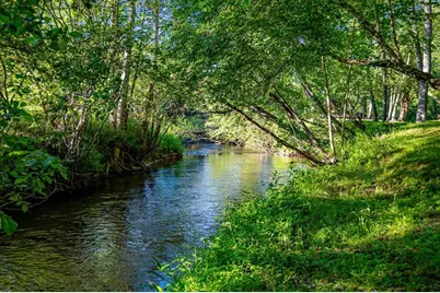 390 Sunnybrook Road, Blue Ridge, GA 30513 - Photo 66