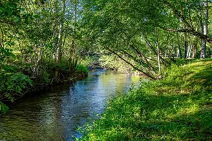 390 Sunny Brook Rd, Blue Ridge, GA 30513 - Photo 66