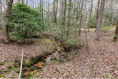 390 Sunnybrook Road, Blue Ridge, GA 30513 - Photo 46