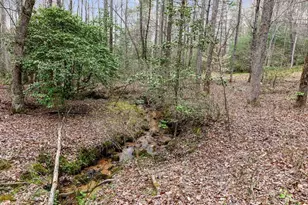 390 Sunny Brook Rd, Blue Ridge, GA 30513 - Photo 46