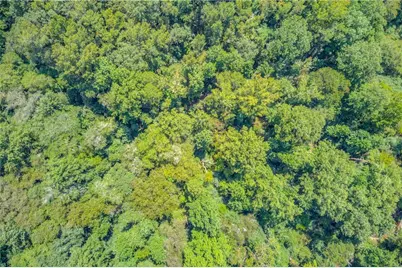 7207 Spout Springs Road, Flowery Branch, GA 30542 - Photo 14