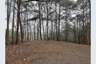 1036 Astro Court NE, Ranger, GA 30734 - Photo 1