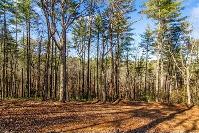 3.12 A Eric Lane, Ellijay, GA 30540 - Photo 4