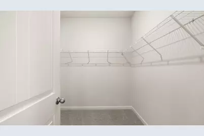 79 Cyrilla Walk, Dallas, GA 30132 - Photo 20