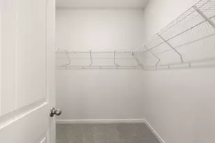 79 Cyrilla Walk, Dallas, GA 30132 - Photo 20