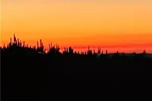 610 Cedar Creek Rd, Cartersville, GA 30121 - Photo 12