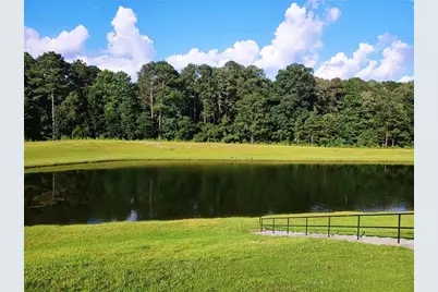 3805 Butler Springs Drive, Loganville, GA 30052 - Photo 48