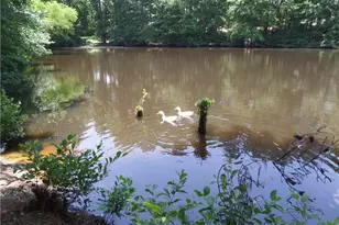 5258 Tallgrass Way NW, Kennesaw, GA 30152 - Photo 68