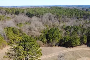 820 Ledbetter Road W, Villa Rica, GA 30180 - Photo 18