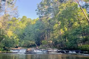 893 Hooper Rd, Cleveland, GA 30528 - Photo 48