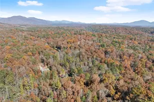 893 Hooper Rd, Cleveland, GA 30528 - Photo 68