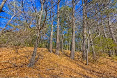 0 Highway 142, Newborn, GA 30056 - Photo 8