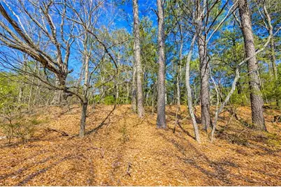 0 Highway 142, Newborn, GA 30056 - Photo 4