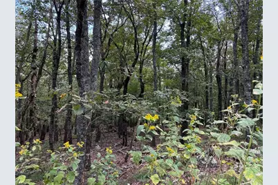 0 Little Hendricks Mountain, Jasper, GA 30143 - Photo 1