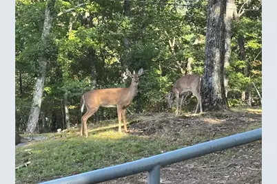 0 Little Hendricks Mountain, Jasper, GA 30143 - Photo 20