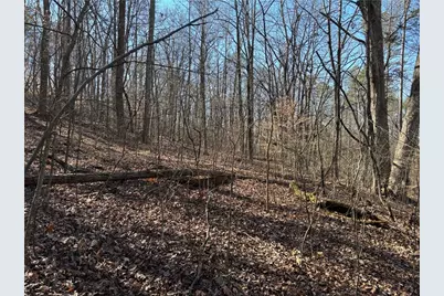 0 Gardner Springs Road, Adairsville, GA 30103 - Photo 6