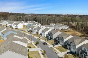 88 King Village, Braselton, GA 30517 - Photo 10