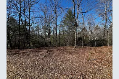 25 Forked Leaf, Cleveland, GA 30528 - Photo 8