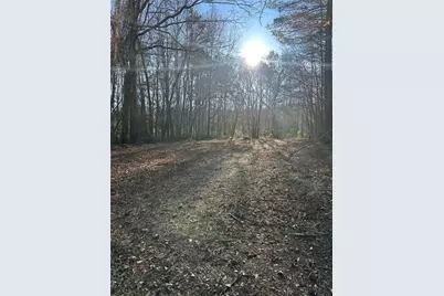 0 Collier Street SW, Covington, GA 30014 - Photo 6