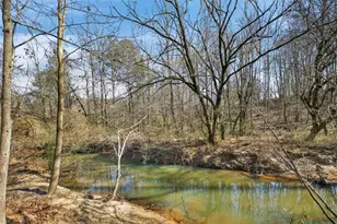 424 Delane Dr, Dallas, GA 30157 - Photo 2