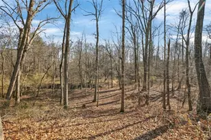 424 Delane Dr, Dallas, GA 30157 - Photo 24