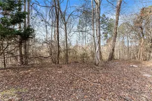 23 New Christopher Ct, Dawsonville, GA 30534 - Photo 46