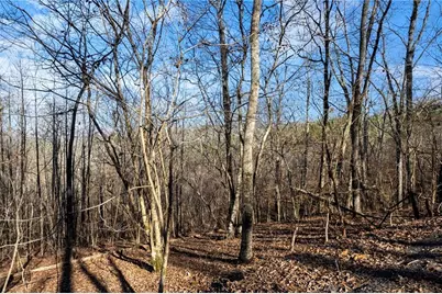 665 Tibbitts Road, Dallas, GA 30132 - Photo 12