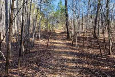 665 Tibbitts Road, Dallas, GA 30132 - Photo 30