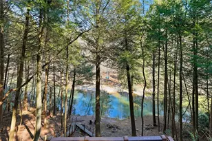 834 Indian Cave Rd, Ellijay, GA 30536 - Photo 32