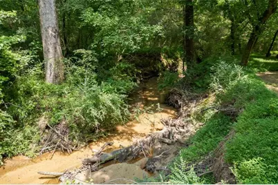 3651 Chandler Haulk Road, Loganville, GA 30052 - Photo 12