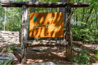 207 Utana Bluffs Trail, Ellijay, GA 30540 - Photo 74