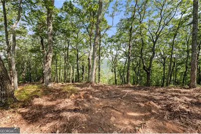 347 Highlands Drive, Clarkesville, GA 30523 - Photo 1