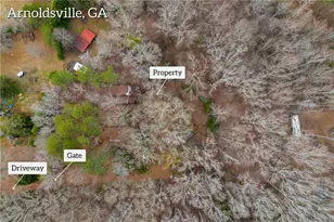 20 J O Crawford Ln, Arnoldsville, GA 30619 - Photo 10