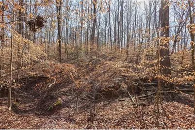 0 Winford Smith Road, Athens, GA 30607 - Photo 8