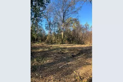 0 Old Griffin Rd, McDonough, GA 30253 - Photo 1