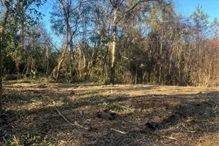 0 Old Griffin Rd, McDonough, GA 30253 - Photo 1