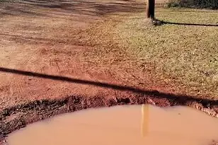 139 Dan Rhyne Rd, Leslie, GA 31764 - Photo 2